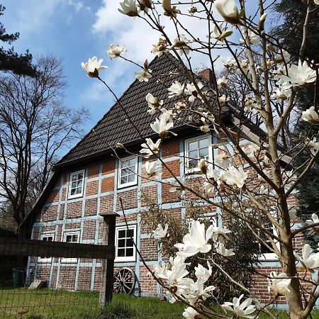 Schoenes Apartment Vor Den Toren Hamburgs - Keine Monteurwohnung Asendorf Екстериор снимка